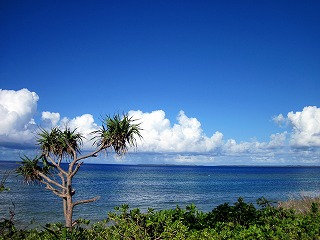 よくあるご質問Q&Aのイメージ