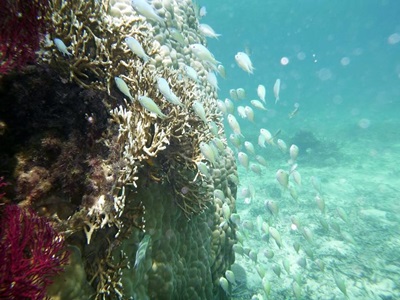 10603300_613212602129784_1786355001554202648_n