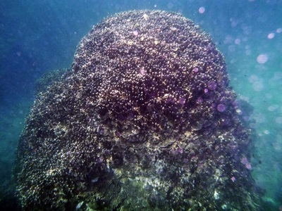 10646916_613210968796614_3625771589196635773_n