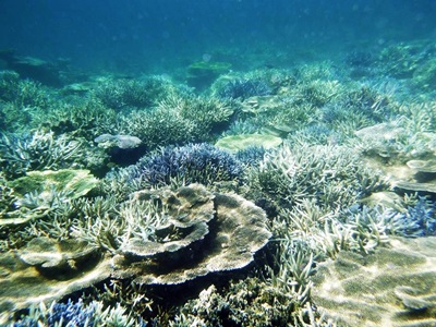 16095_613210215463356_4488322766392306122_n