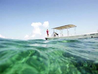 1907426_613210282130016_677111624562923552_n