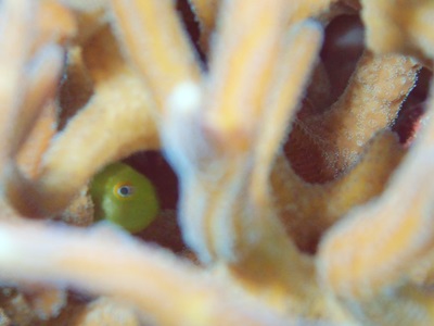 12476759_922249277872191_1858930981_o