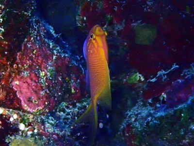 12545871_922248981205554_2046093849_o