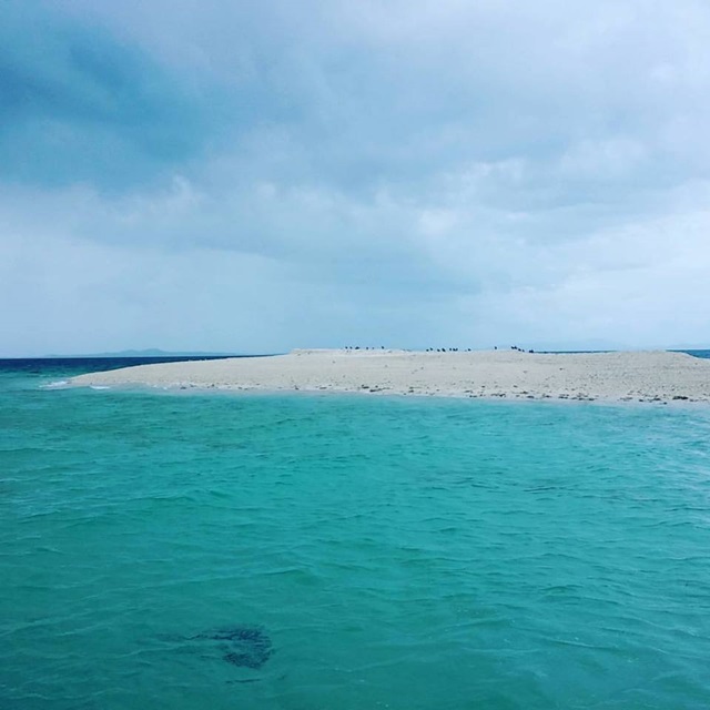 14355511_1112859608790254_8661641949904237585_n